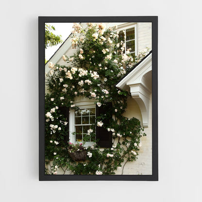 ap-climbing rose-10 cadre Noir