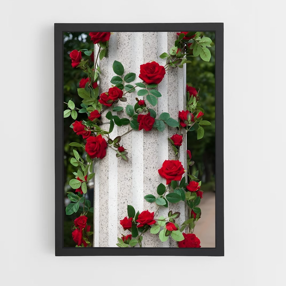 ap-climbing rose-2 cadre Noir