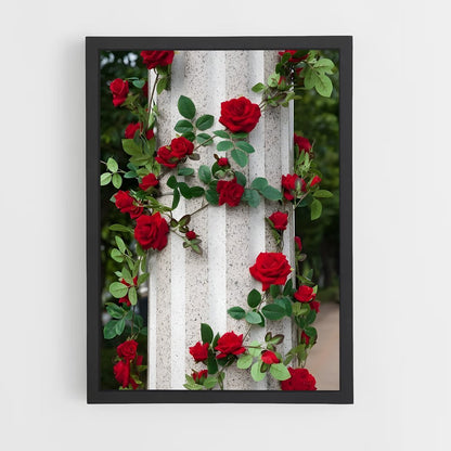 ap-climbing rose-2 cadre Noir