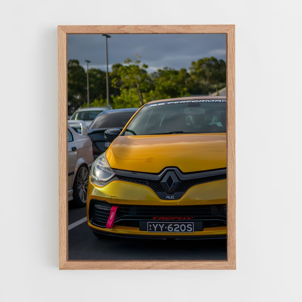 ap-clio rs trophy-1 cadre Bois clair