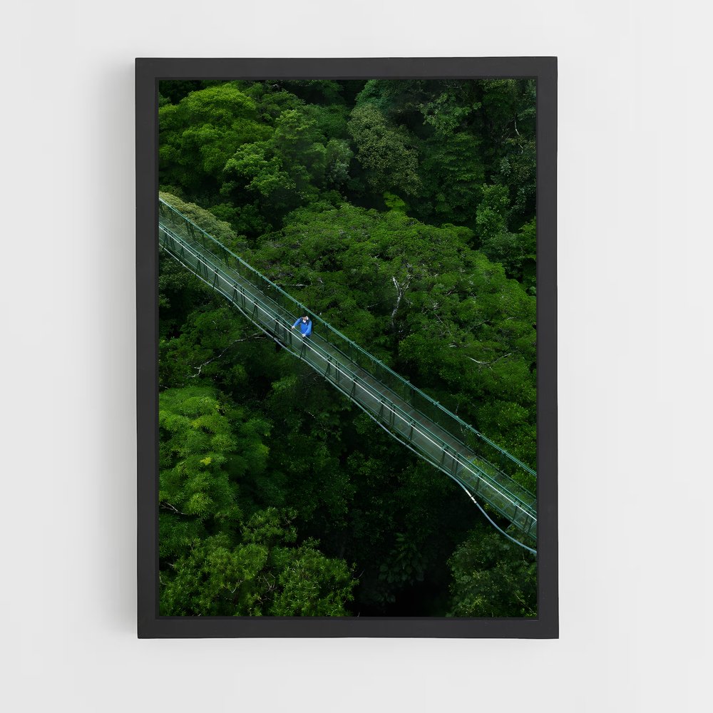 ap-cloud forest-1 cadre Noir