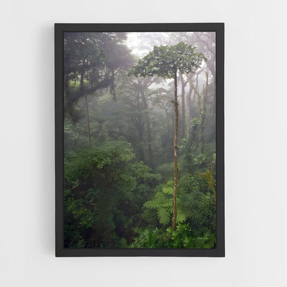 ap-cloud forest-2 cadre Noir