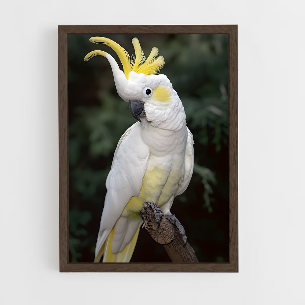 ap-cockatoo-1 cadre Bois foncé