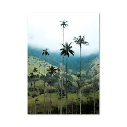 Poster Vivre la Vallée Cocora