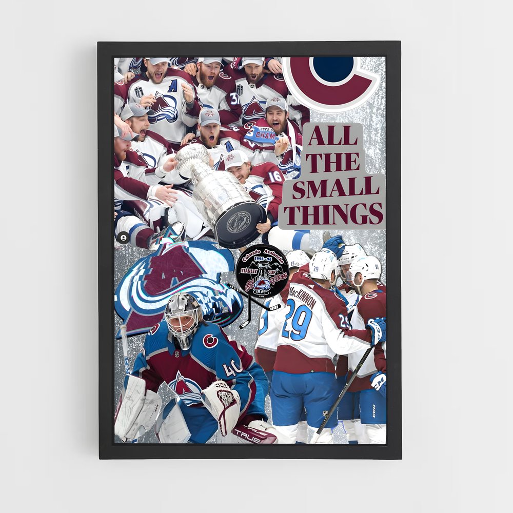 ap-colorado avalanche-6 cadre Noir