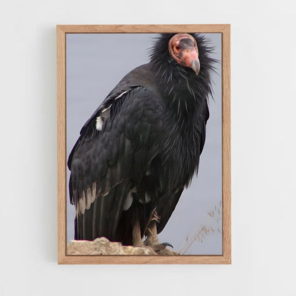 ap-condor-2 cadre Bois clair