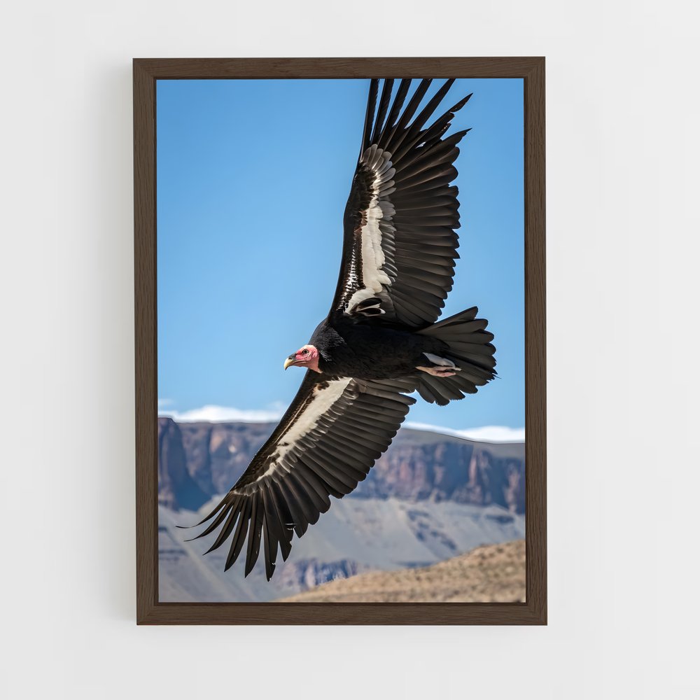 ap-condor-3 cadre Bois foncé