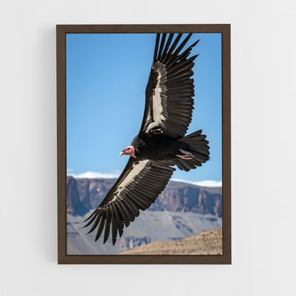 ap-condor-3 cadre Bois foncé