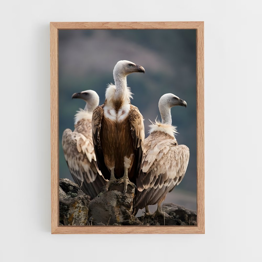 ap-condor-5 cadre Bois clair