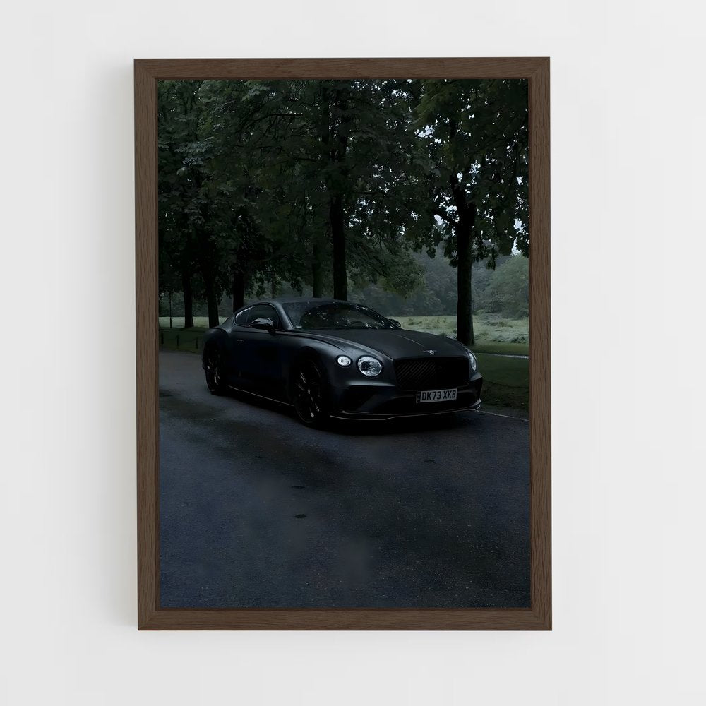 ap-continental gt-2 cadre Bois foncé