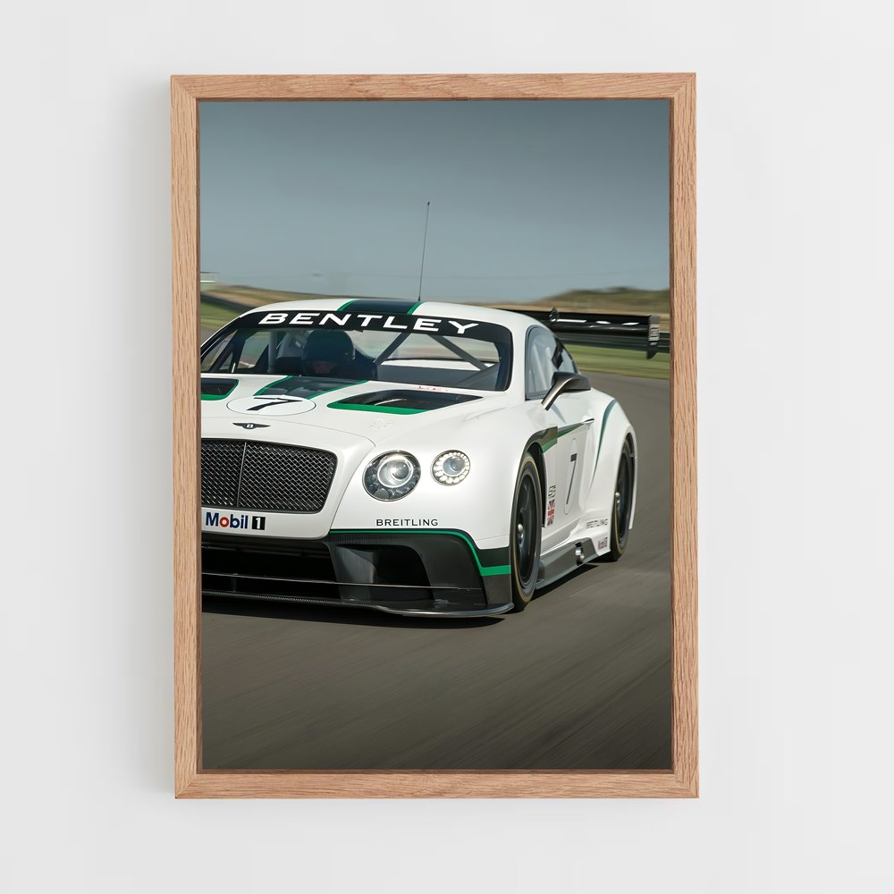 ap-continental gt3-4 cadre Bois clair