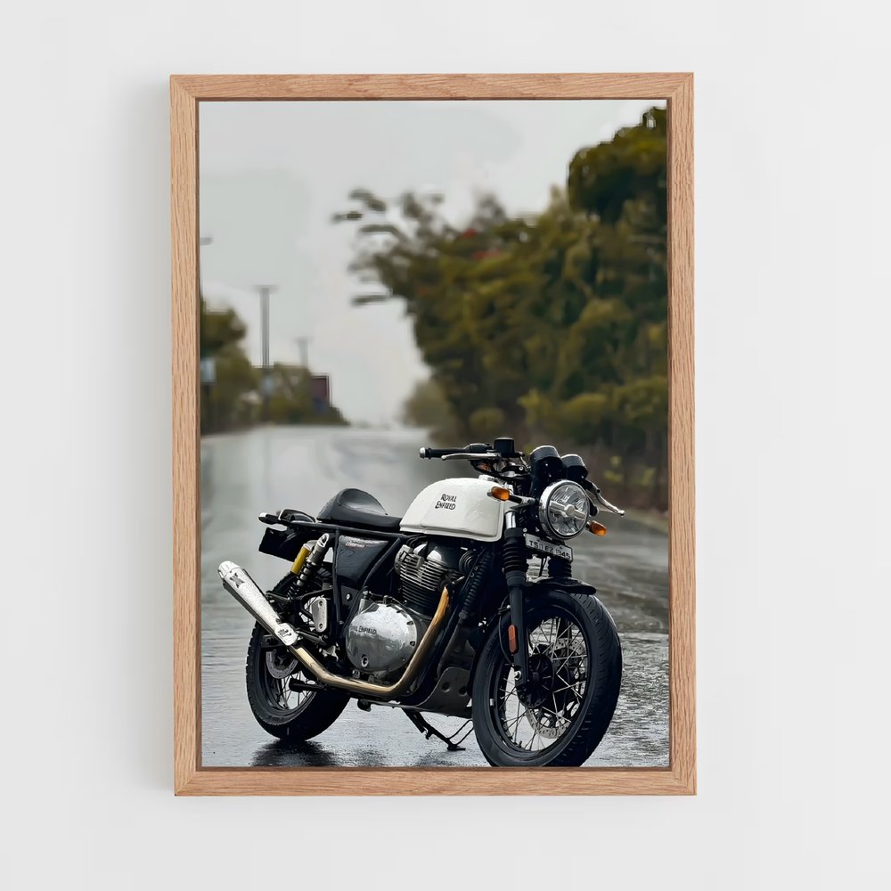 ap-continental gt 650-4 cadre Bois clair