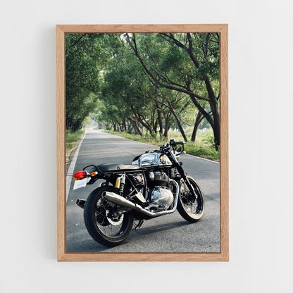ap-continental gt 650-7 cadre Bois clair