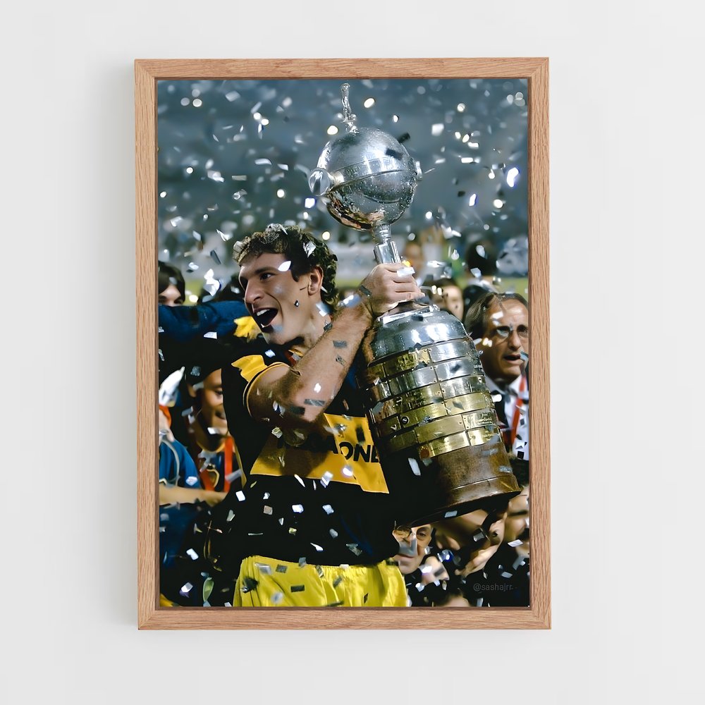 ap-copa libertadores-3 cadre Bois clair