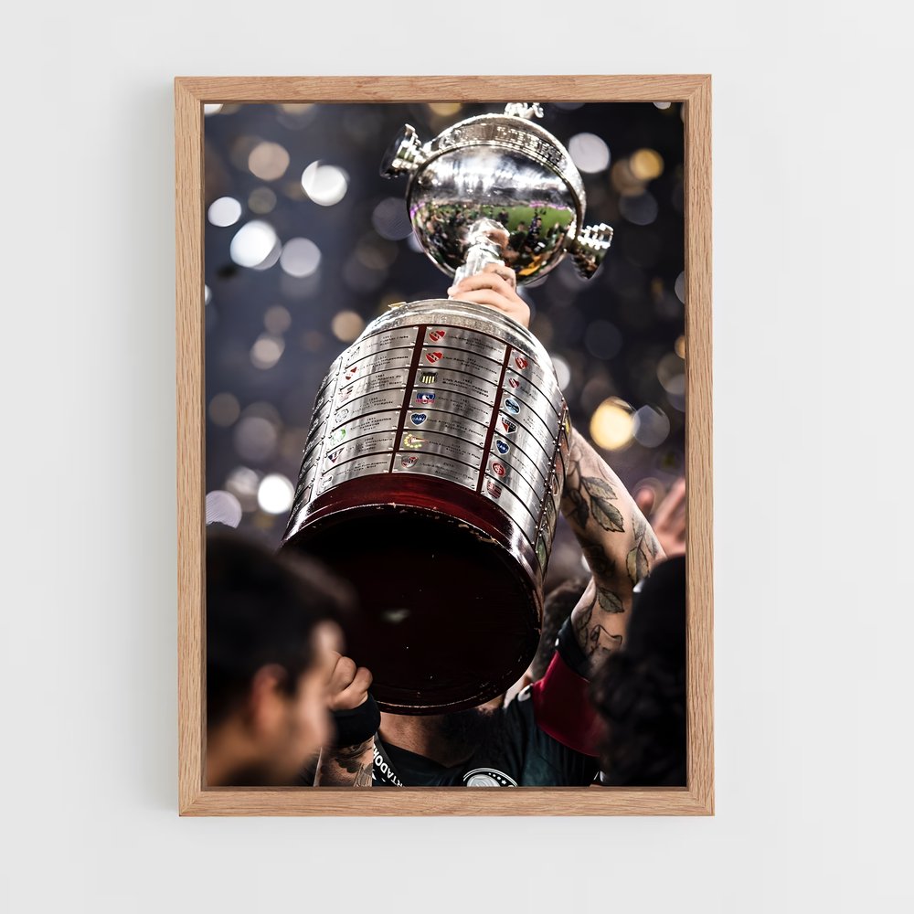 ap-copa libertadores-6 cadre Bois clair