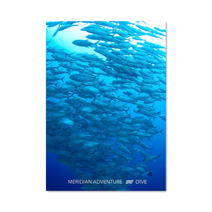 Poster École de Poissons