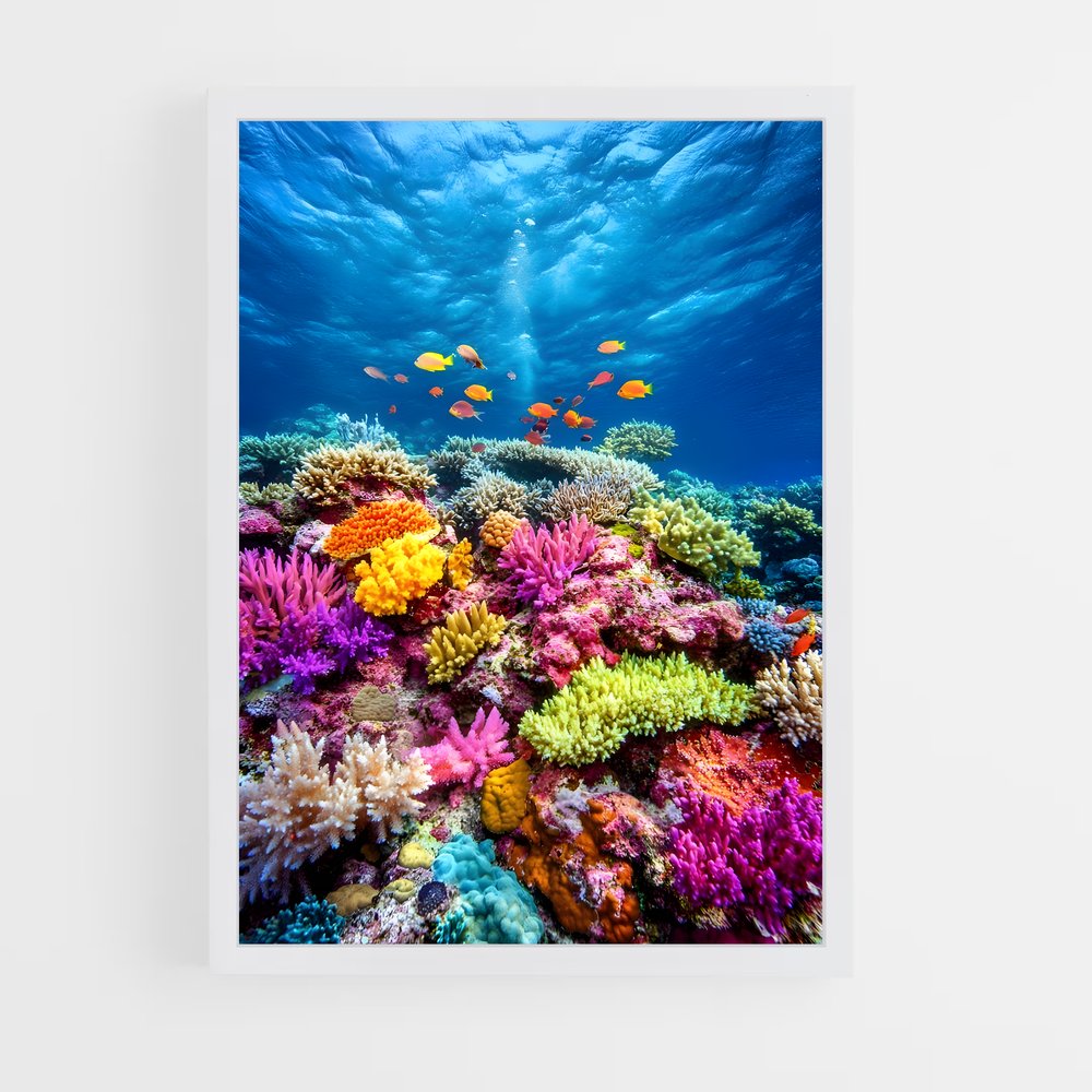 ap-coral reef-1 cadre Blanc