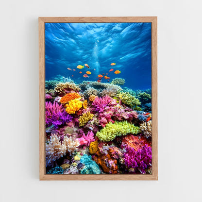 ap-coral reef-1 cadre Bois clair