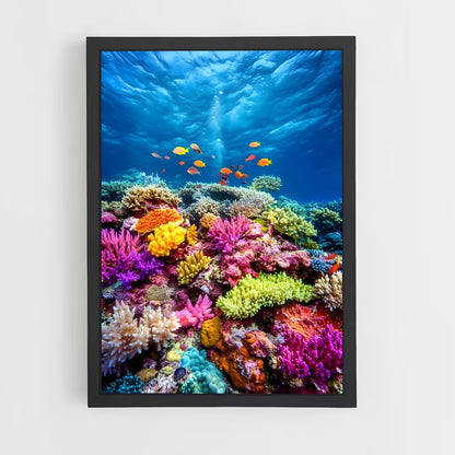 ap-coral reef-1 cadre Noir