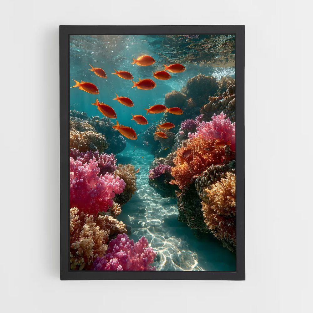 ap-coral reef-10 cadre Noir