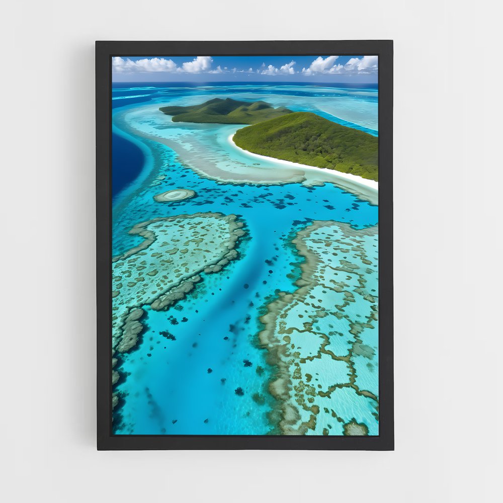 ap-coral reef-2 cadre Noir