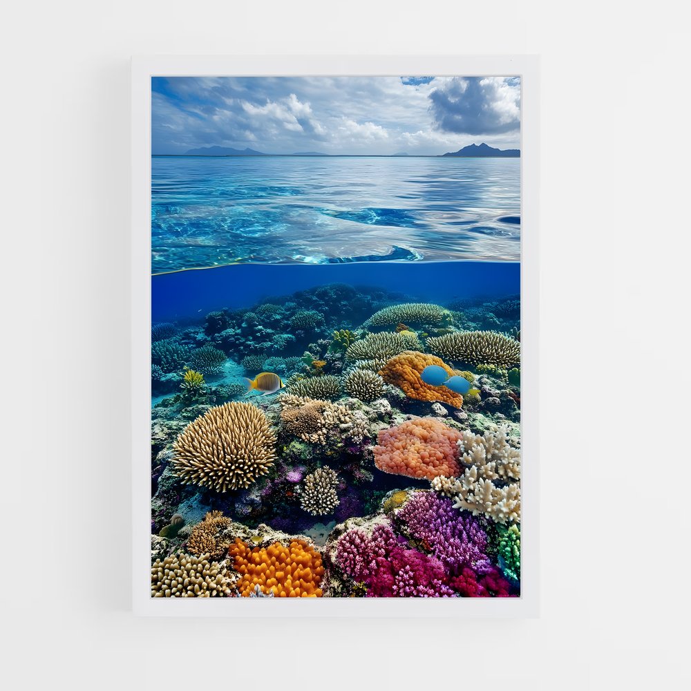 ap-coral reef-3 cadre Blanc