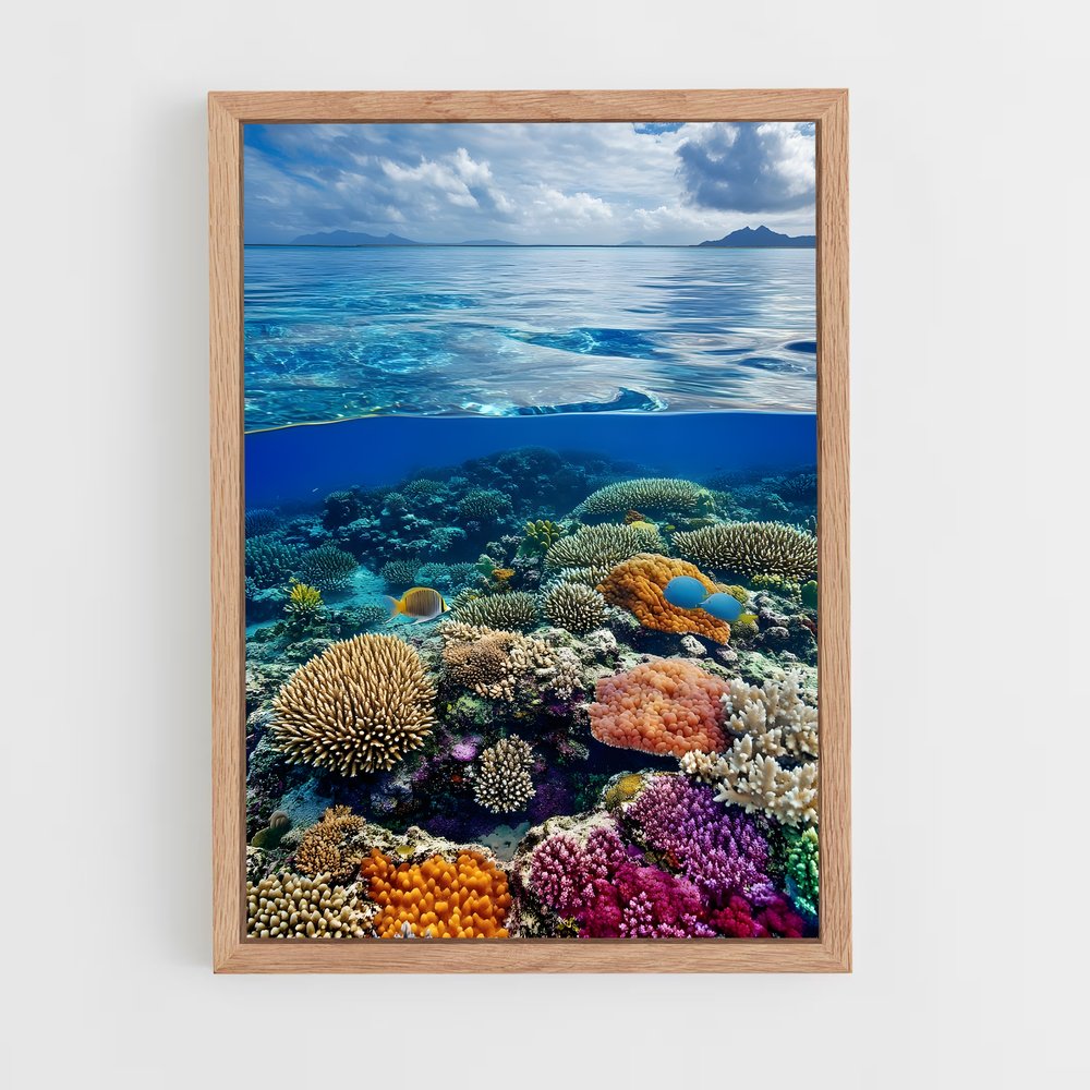 ap-coral reef-3 cadre Bois clair