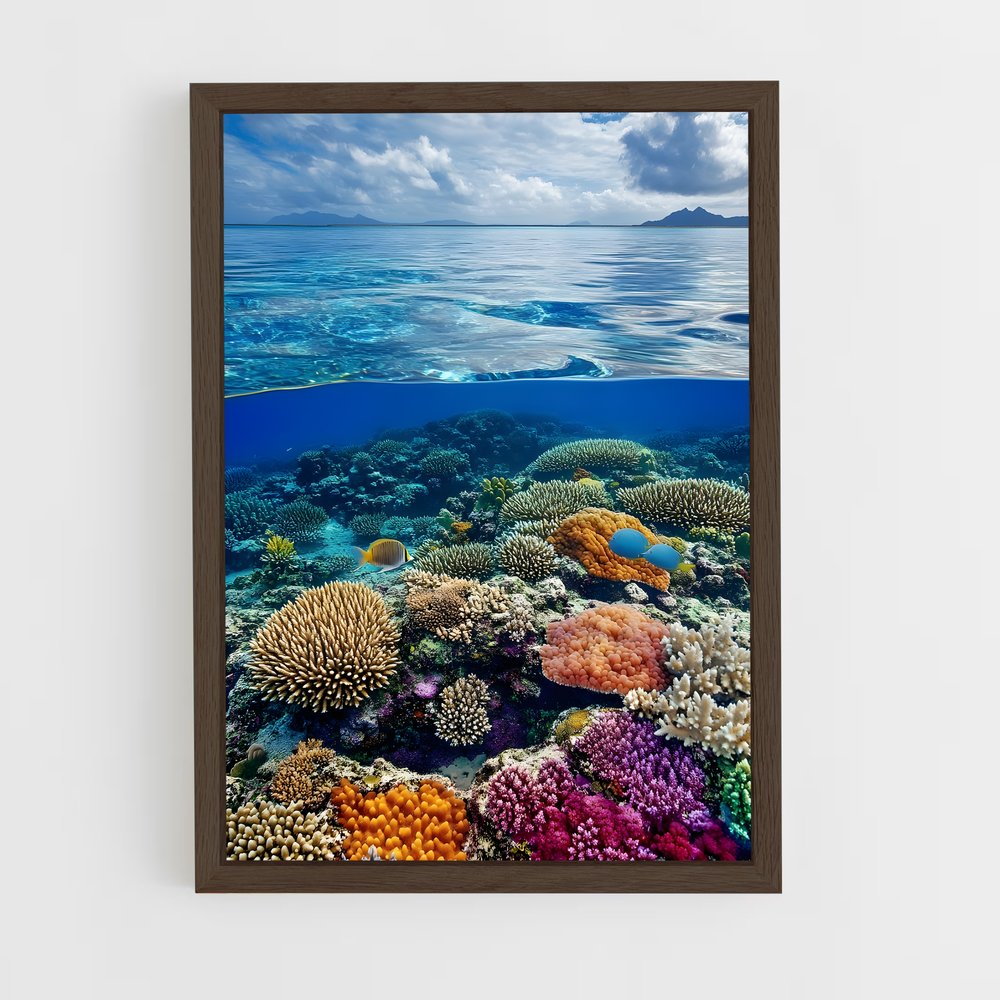 ap-coral reef-3 cadre Bois foncé