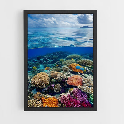 ap-coral reef-3 cadre Noir
