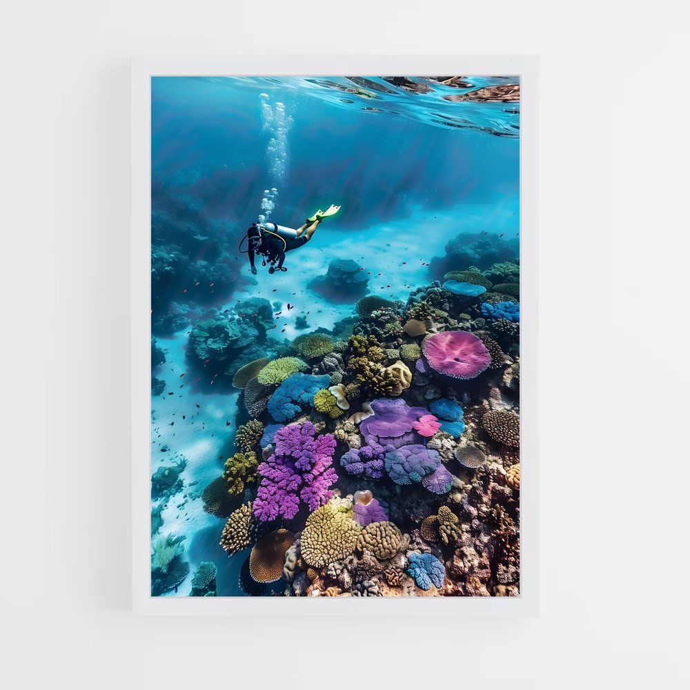 ap-coral reef-6 cadre Blanc
