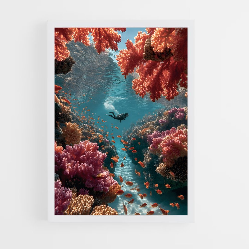 ap-coral reef-8 cadre Blanc