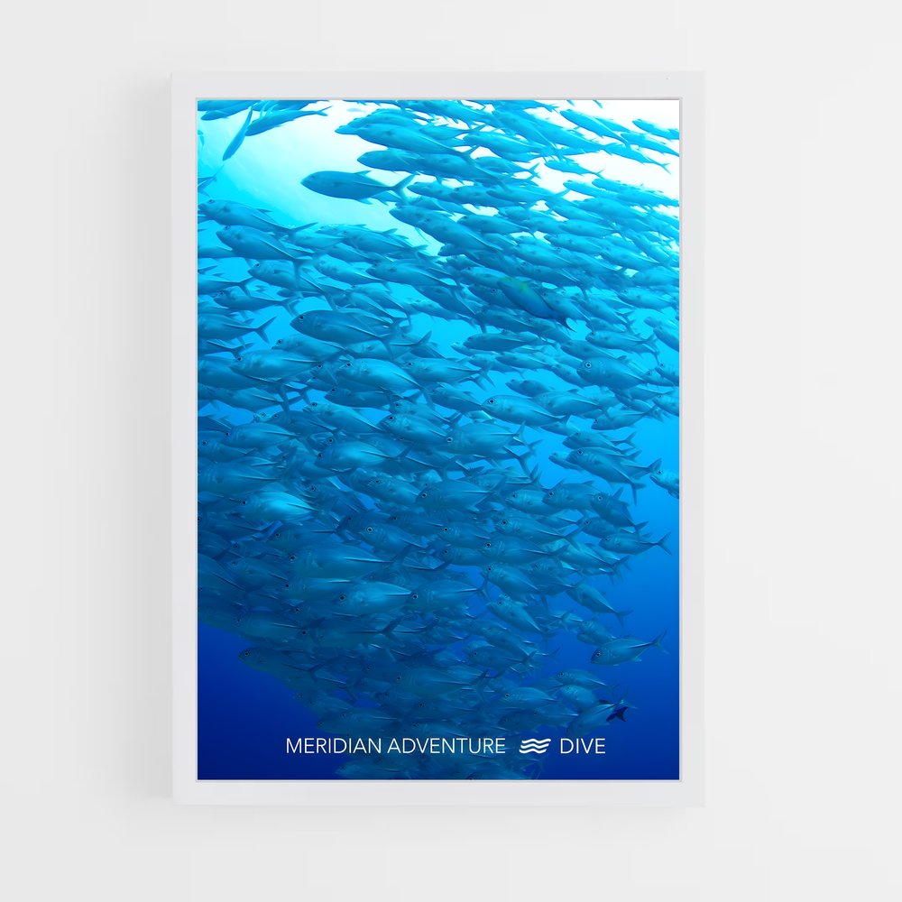 ap-coral triangle diving-1 cadre Blanc