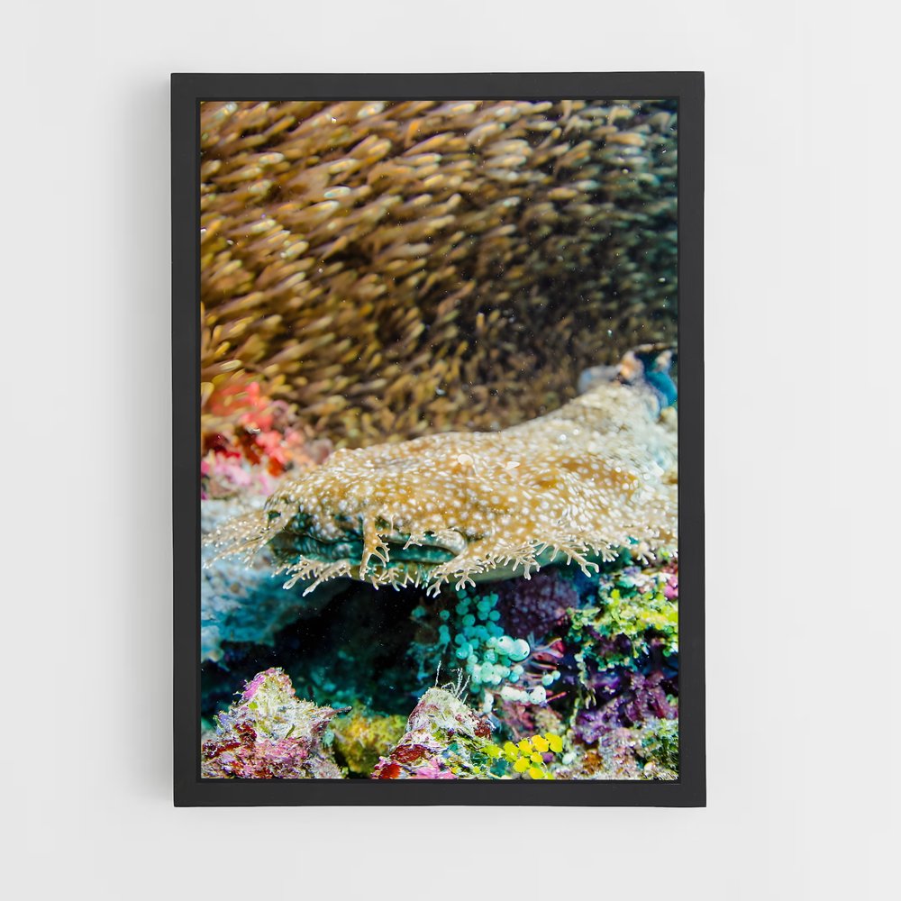 ap-coral triangle diving-4 cadre Noir