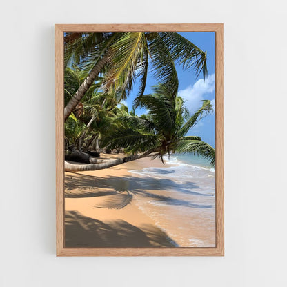 ap-corn islands-3 cadre Bois clair
