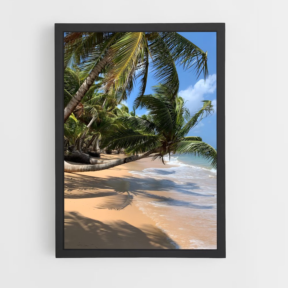 ap-corn islands-3 cadre Noir