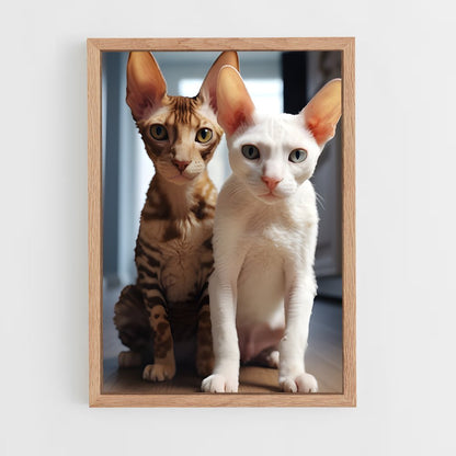 ap-cornish rex-5 cadre Bois clair