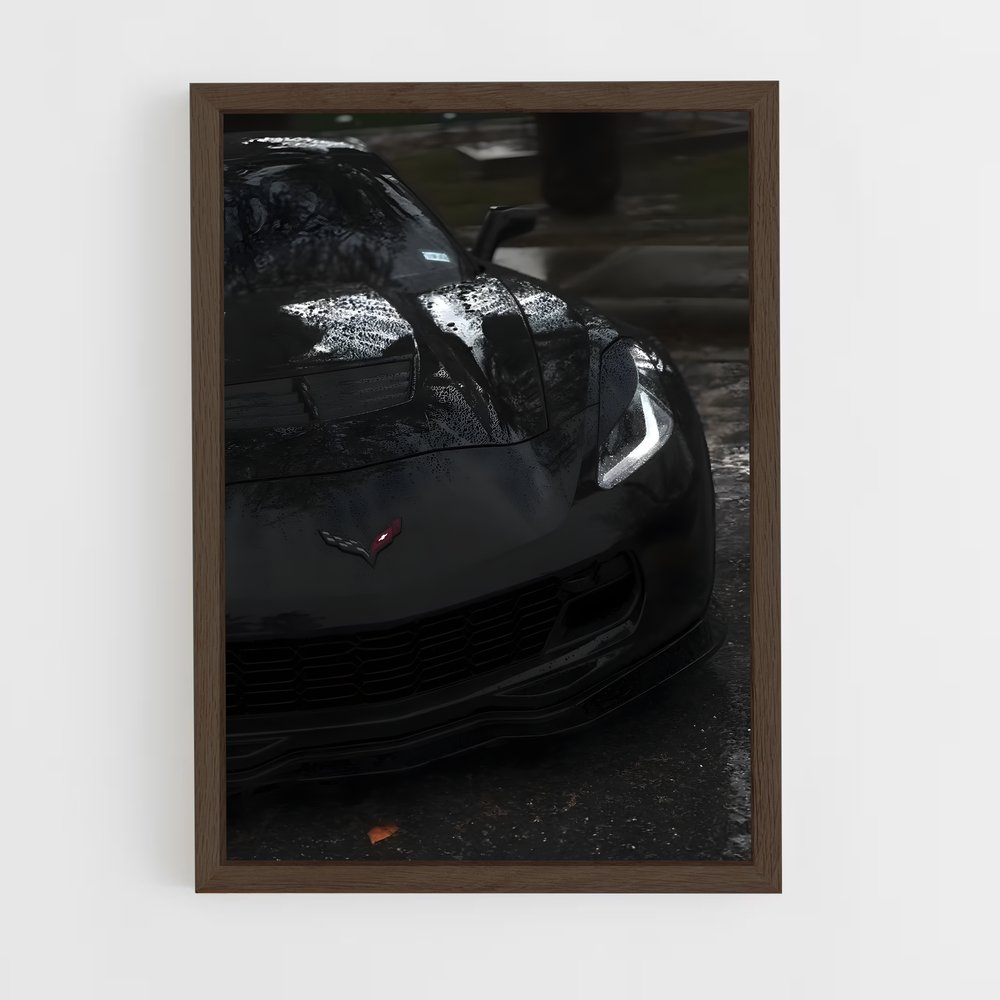 ap-corvette c7 gt3-r-1 cadre Bois foncé