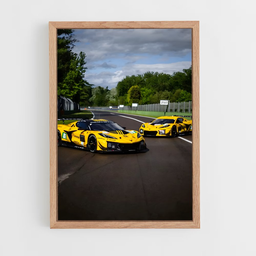 ap-corvette c7 gt3-r-4 cadre Bois clair