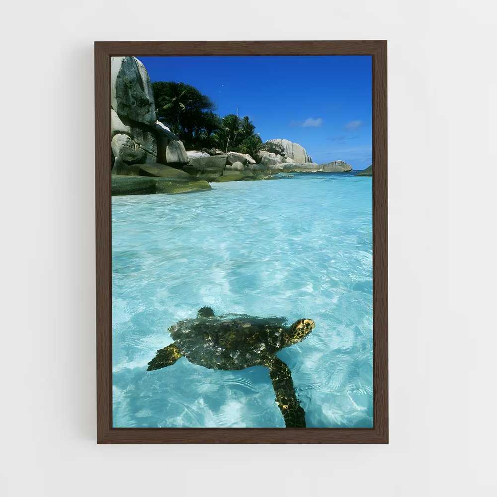 ap-costa rica-7 cadre Bois foncé