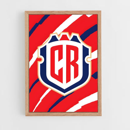 ap-costa rica national football team-2 cadre Bois clair