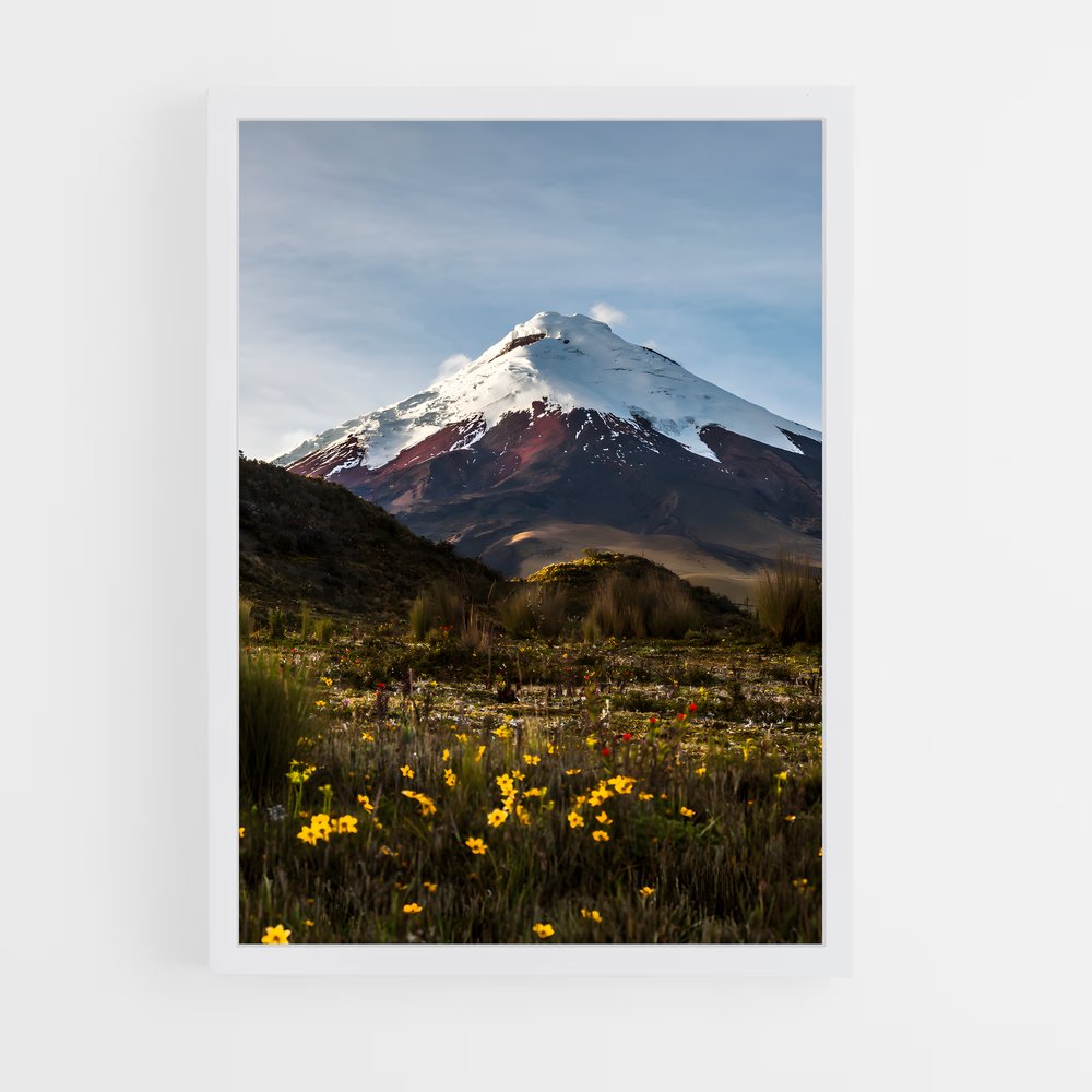 ap-cotopaxi volcano-3 cadre Blanc