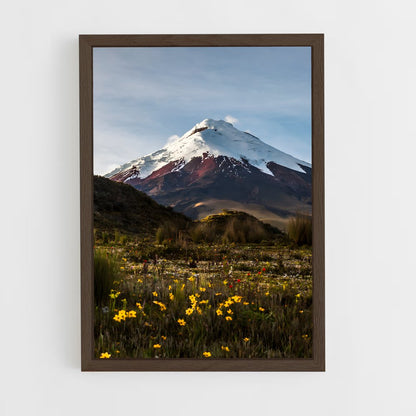 ap-cotopaxi volcano-3 cadre Bois foncé