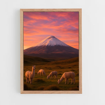 ap-cotopaxi volcano-5 cadre Bois clair