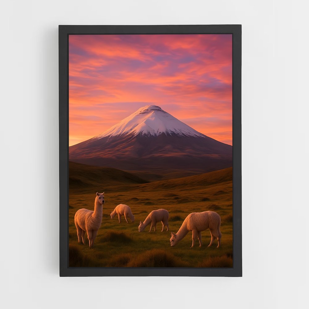 ap-cotopaxi volcano-5 cadre Noir