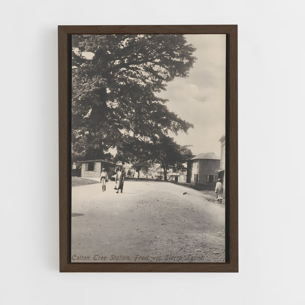 ap-cotton tree freetown-1 cadre Bois foncé