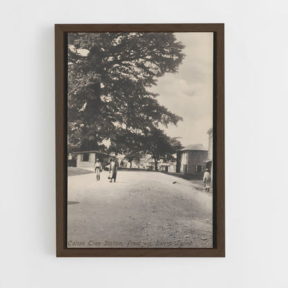 ap-cotton tree freetown-1 cadre Bois foncé