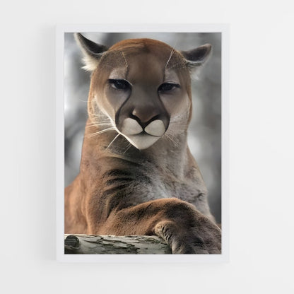 ap-cougar-1 cadre Blanc