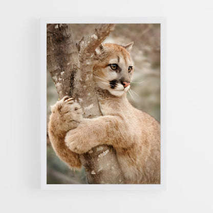 ap-cougar-4 cadre Blanc