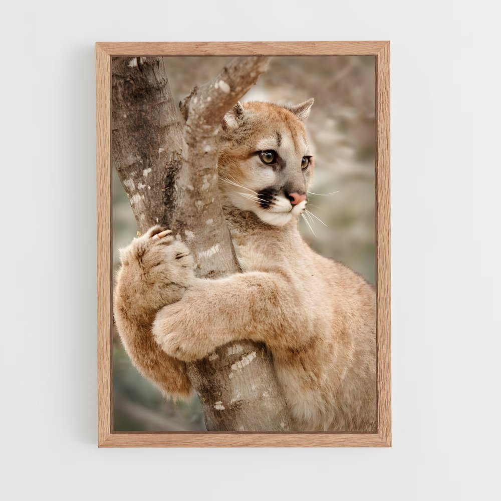 ap-cougar-4 cadre Bois clair