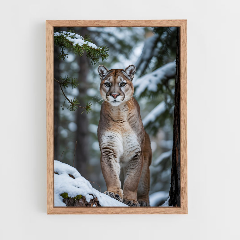 ap-cougar-5 cadre Bois clair